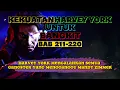 Download Lagu Kekuatan  Harvey York Untuk Bangkit BAB 211-220