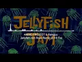 Download Lagu [Indonesia Rave] ANIME-PROJECT \u0026 Rareguy - Jellyfish Jam Rave Remix (2018 Fix)