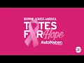 An exclusive look inside AutoNation s 6th annual Across America Day