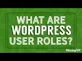 What are WordPress User Roles Explained