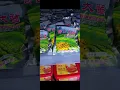 SHOPPING AT CHINESE STORE