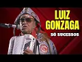 Download Lagu Luiz Gonzaga - Só Sucessos