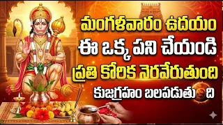మంగళవారం ఉదయం నిద్ర లేవగానే ఈ ఒక్క పని చేయండి ప్రతి కోరిక నెరవేరుతుంది కుజగ్రహం బలపడుతుంది