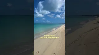 11 mile beach in Barbuda | pristine beach  #sailing #beach #boatlife #carribean #ocean #sailboat