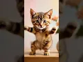 KITTEN Dance Party Like You've Never Seen Before! #cat #cute #catplay #catworld