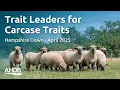 Trait Leaders for Carcase Traits - Hampshire Down April 2025 Signet