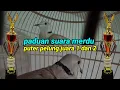 Download Lagu Paduan Suara Merdu,Puter Pelung Juara 1 Dan 2