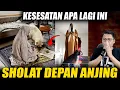 Download Lagu Manusia Terlaknat Sholat Dekat Anjing 😡