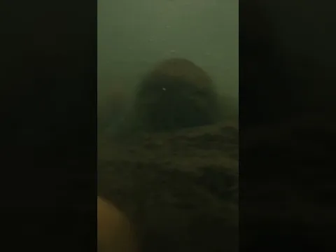 Two crocodiles attack a woman