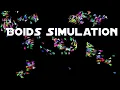 Boids Simulation