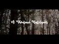 Download Lagu Victory Worship - A Thousand Hallelujahs (Lyric Video)