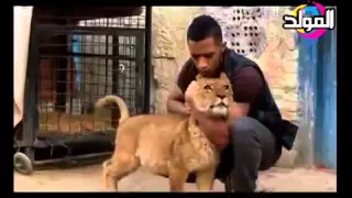 مهرجان قلب الاسد من فيلم قلب الاسد محمد رمضان المدفعجية الجزار YouTube 