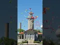 One Moose Celebration