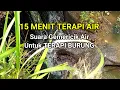 Download Lagu 15 Menit Terapi Air - Suara Gemericik Air Terapi Burung