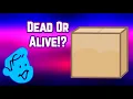 Inanimate Answers - Episode 5 Box Vs The Mystery