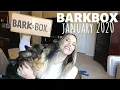LARGE DOG BOX BARKBOX JANUARY 2020