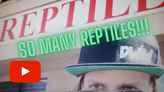 SO MANY REPTILES