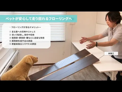 フロアコーティング専門会社【ペット専用】関節症予防の為のグリップ重視コーティング