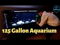 125 Gallon Aquarium - The Complete Setup Predator Haps