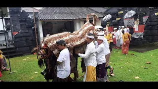 selumbung punya cerita