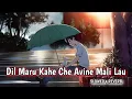 Lagu Dil Maru Kahe Che Avine Mali Lau | દિલ મારું કહે છે આવીને મળી લઉં | Lofi | SLOWED+REVERB