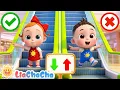 Lagu Escalator Safety Song | EP231 | Safety Learning for Babies | Nursery Rhymes \u0026 Kids Songs | LiaChaCha