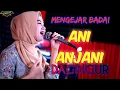 MENGEJAR BADAI - ANI ANJANI (DAGDIGUR)