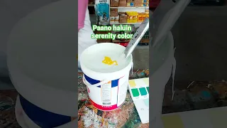 PAANO HALUIN SERENITY COLOR