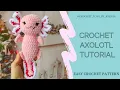 Easy crochet axolotl tutorial Axolotl crochet pattern Free Amigurumi animal pattern for beginners