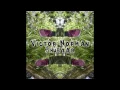 Victor Norman - Shustar (Kopfüber Sampler 3)