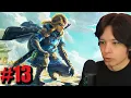 Download Lagu The Legend of Zelda: Breath of the Wild Nintendo Switch 2 Edition Master Mode 100% Part 13