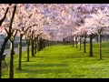 Download Lagu Spring. Antonio Vivaldi