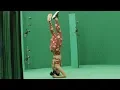 Download Lagu Lexy Panterra Twerks | VIBEHub.io