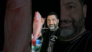 انا لما بغيب ما بغبش اونطة 