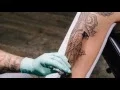 Cardinal Tattoo - Timelapse