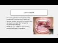 BIO 205 - Chapter 22