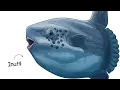 Channel