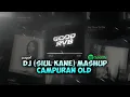 Lagu DJ Mashup India Campuran Old | slowed \u0026 reverb version