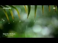 12 Hours (No Ads) Relaxing Sleep Music with Rain Sounds 💤💲👁‍🗨 ​​Relaxing Piano Music #music #rain