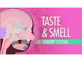 Download Lagu Taste \u0026 Smell: Crash Course Anatomy \u0026 Physiology #16