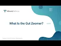 What Is the Gut Zoomer