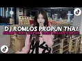 Download Lagu DJ ROMLOS PROPUN THAI X BABY DONT GO DJ TEBANG REMIX