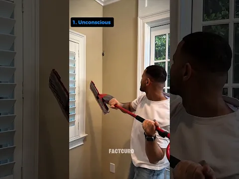 These Funniest Spider Moments