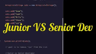 Junior vs Senior Developer Java ArrayList