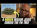Download Lagu Did Jesus Curse the Fig Tree Because of Israel?