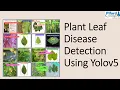 Leaf Disease Detection using yolov5 Object Detection