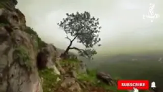 ياايها الانسان مهلا انتبه 