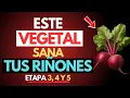 Download Lagu ¿Creatinina alta? 3 vegetales que debes comer y 3 que nunca debes tocar