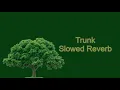 Download Lagu Trunk - Slowed + Reverb