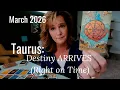 TAURUS THIS Is What s Stopping You March 2026 Zodiac Tarot Reading